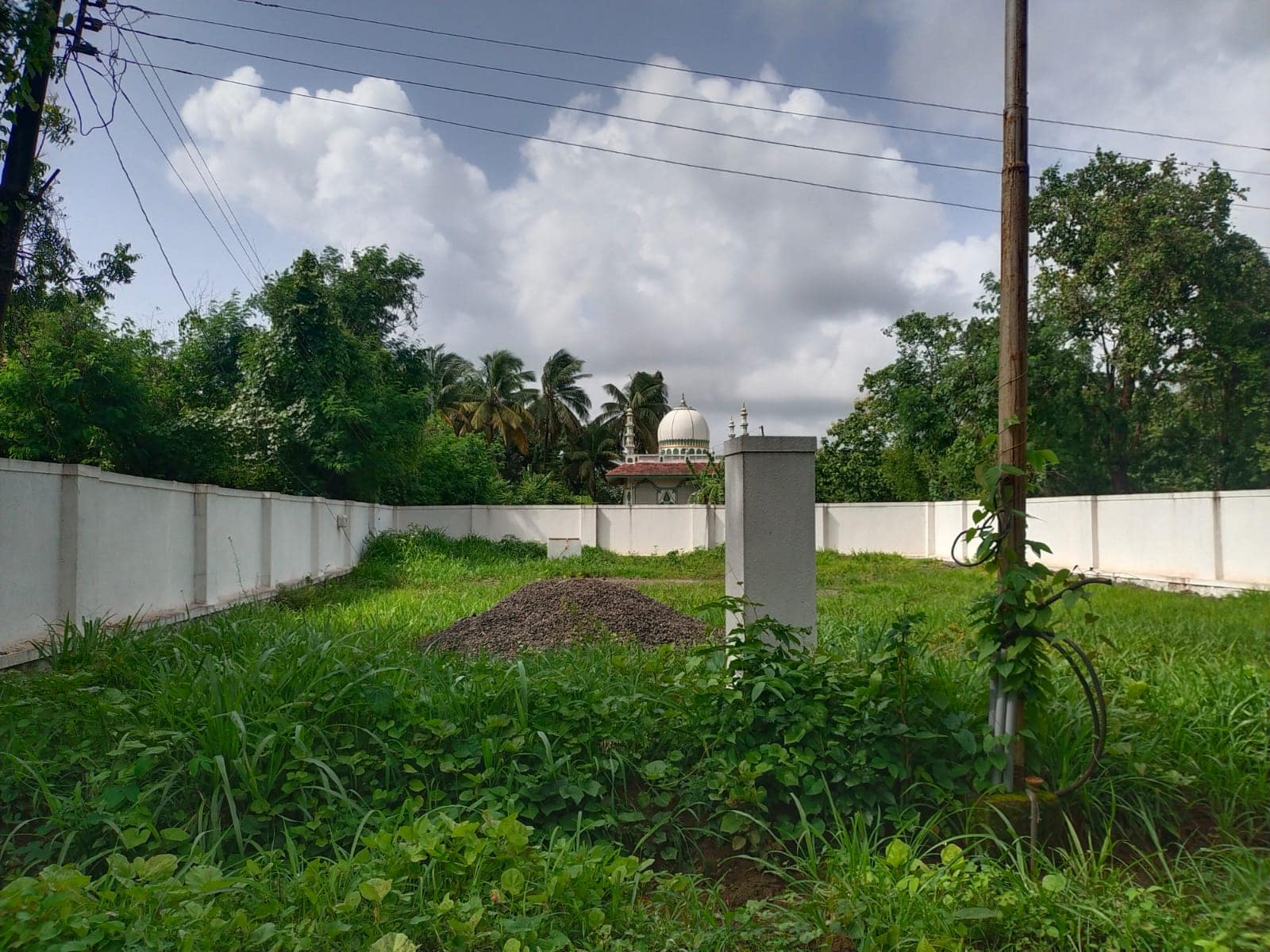 4.8 Guntha NA Land For Sale In Alibaug (2)
